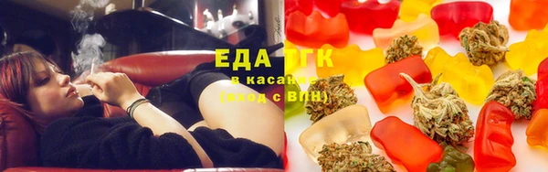 хмурый Магас