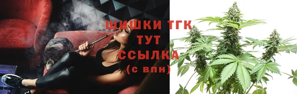 хмурый Магас