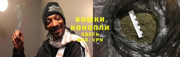 хмурый Магас