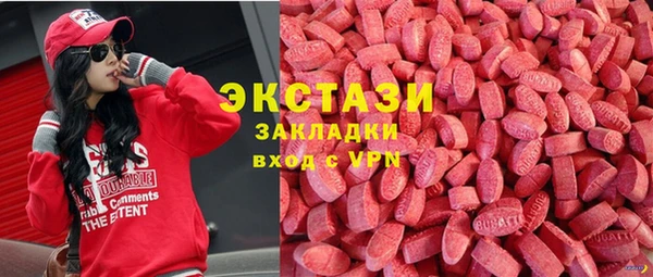 хмурый Магас