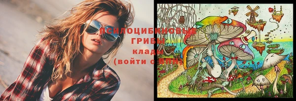mdpv Магадан
