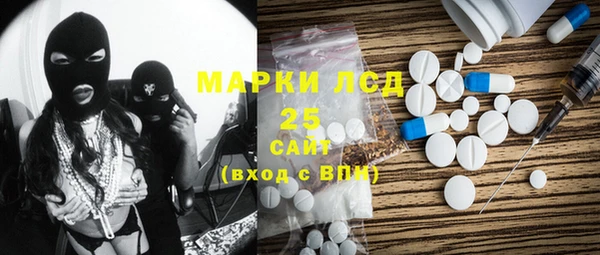 хмурый Магас