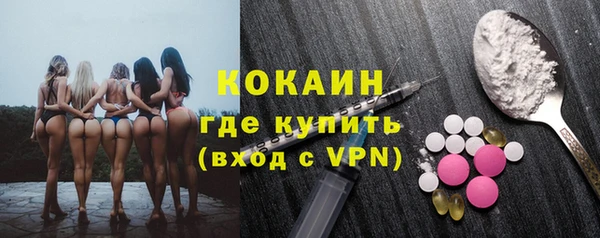 хмурый Магас