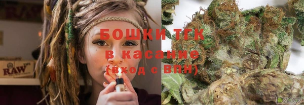 хмурый Магас