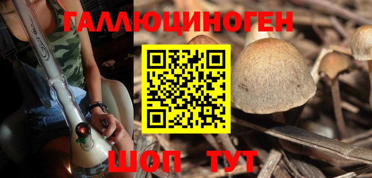 Псилоцибиновые грибы прущие грибы  Псилоцибиновые грибы мухоморы  Дмитров  Вход с VPN 