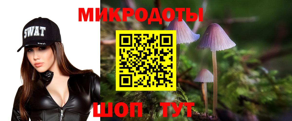 Псилоцибиновые грибы GOLDEN TEACHER Дмитров